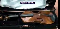 viola sustrasa