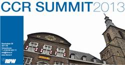 siguranta publica securitate summit