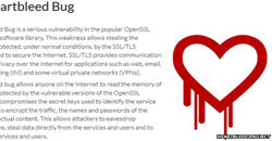 Bug Heartbleed