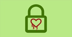 Heartbleed