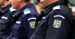 politia-locala-timisoara-sanctionata-de-jandarmerie-pentru-lipsa-pazei
