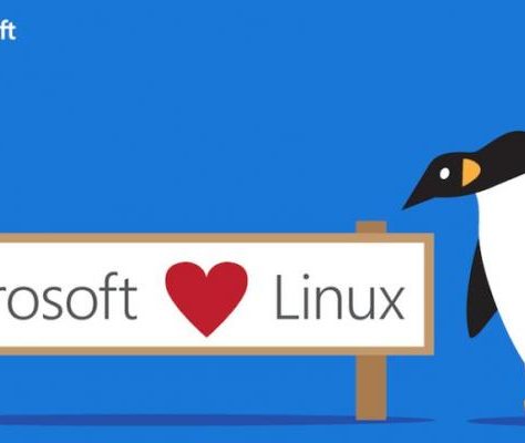 Microsoft vrea să colaboreze cu dezvoltatorii Linux pentru o mai bună securitate