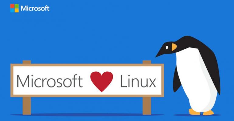 Microsoft vrea să colaboreze cu dezvoltatorii Linux pentru o mai bună securitate